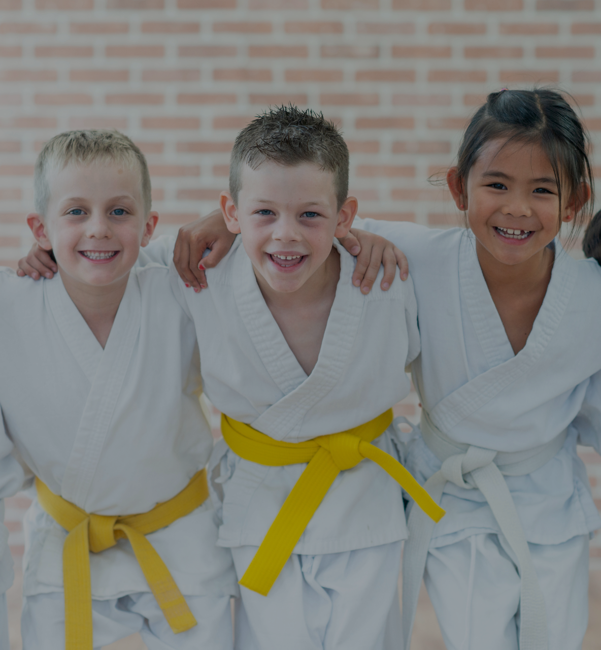 martial arts software