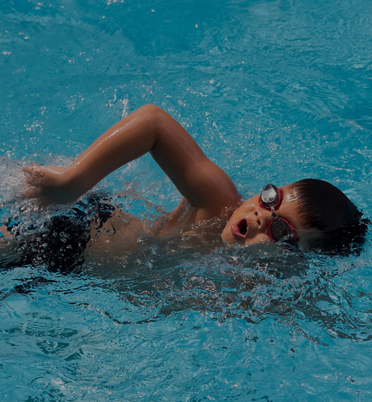 swimming club software